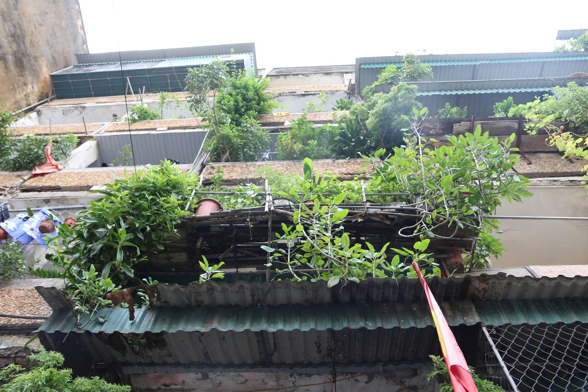 Dân mất ăn mất ngủ vì sống trong chung cư xuống cấp- Ảnh 3.