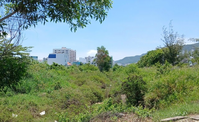 Khánh Hòa ghi nhận hơn 5.900 ca mắc sốt xuất huyết, 2 trường hợp tử vong- Ảnh 2.