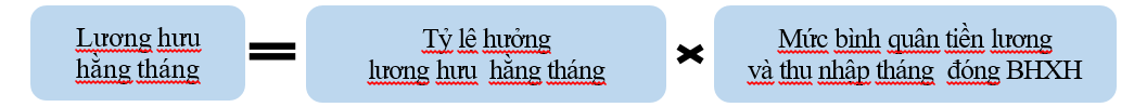Quyền lợi và mức hưởng BHXH tự nguyện theo Luật mới- Ảnh 2. Quyền lợi và mức hưởng BHXH tự nguyện theo Luật mới- Ảnh 2.