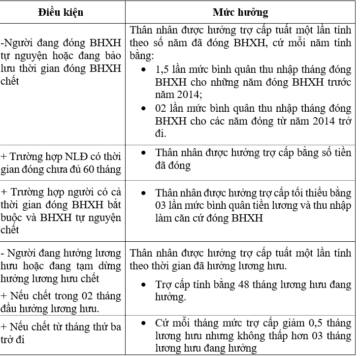 Quyền lợi và mức hưởng BHXH tự nguyện theo Luật mới- Ảnh 3. Quyền lợi và mức hưởng BHXH tự nguyện theo Luật mới- Ảnh 3.