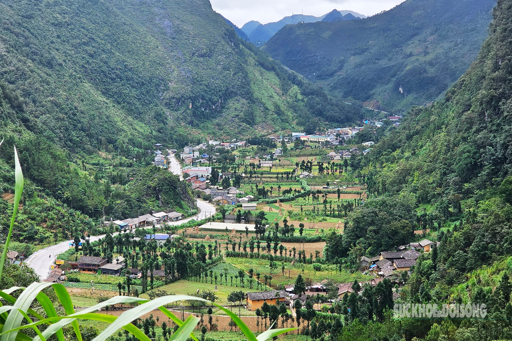 Nghề 'trai lai Tây’ giữa mây núi vùng cao cực Bắc- Ảnh 10.