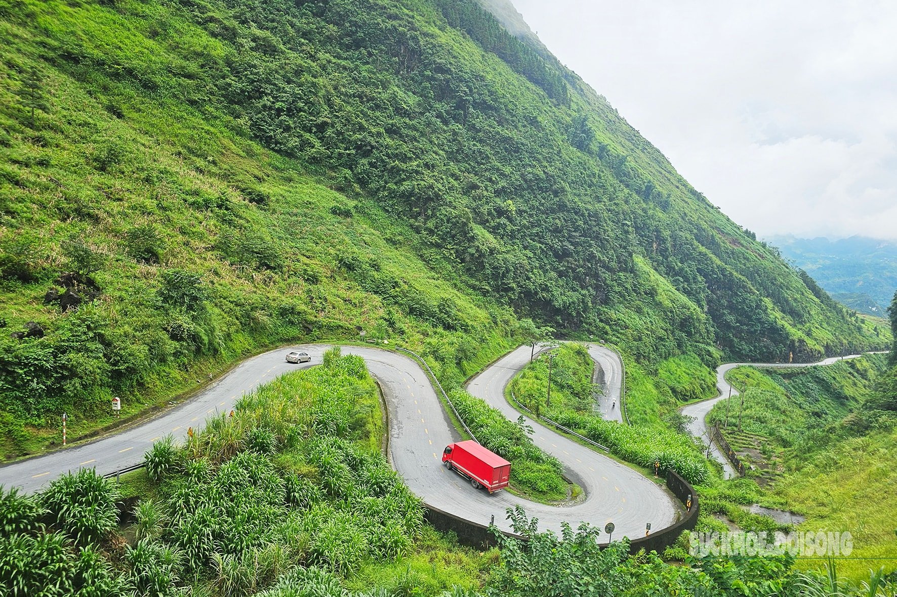 Nghề 'trai lai Tây’ giữa mây núi vùng cao cực Bắc- Ảnh 1.