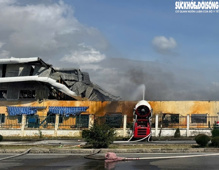 Khống chế vụ cháy tại kho hàng trong Khu công nghiệp Đồ Sơn, Hải Phòng- Ảnh 3.