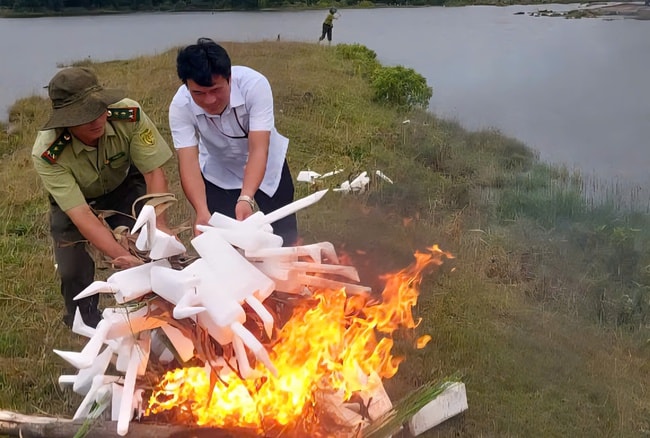 Bẫy giăng kín đồng ruộng, kiểm lâm ráo riết tháo gỡ bảo vệ chim hoang dã- Ảnh 5.
