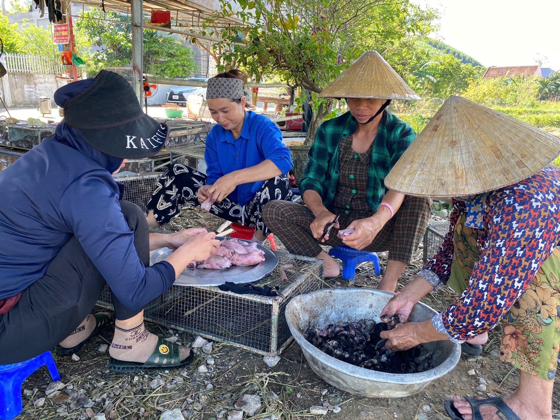 Cả xã cùng săn chuột đồng, kiếm tiền triệu mỗi đêm- Ảnh 2. Cả xã cùng săn chuột đồng, kiếm tiền triệu mỗi đêm- Ảnh 2.