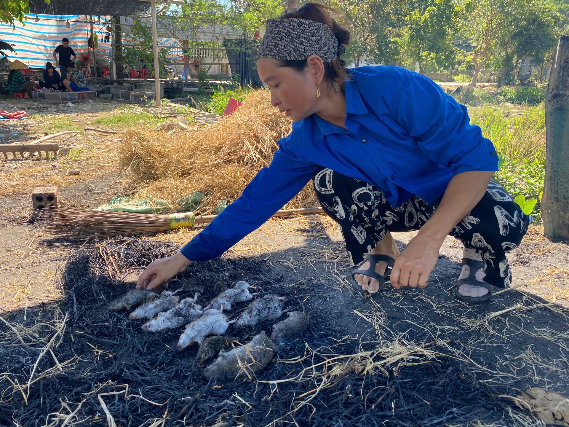 Cả xã cùng săn chuột đồng, kiếm tiền triệu mỗi đêm- Ảnh 14. Cả xã cùng săn chuột đồng, kiếm tiền triệu mỗi đêm- Ảnh 14.