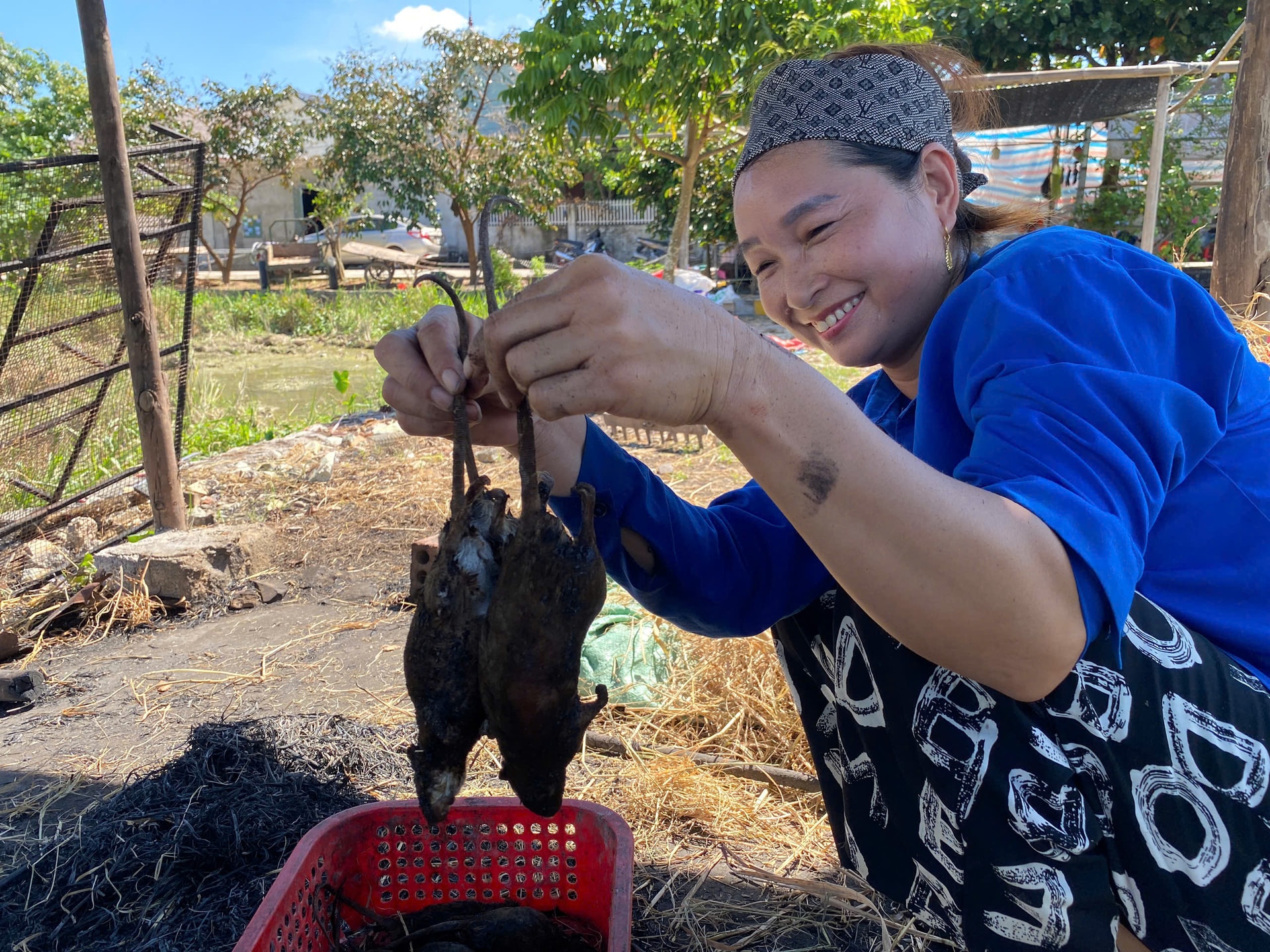 Cả xã cùng săn chuột đồng, kiếm tiền triệu mỗi đêm- Ảnh 16. Cả xã cùng săn chuột đồng, kiếm tiền triệu mỗi đêm- Ảnh 16.