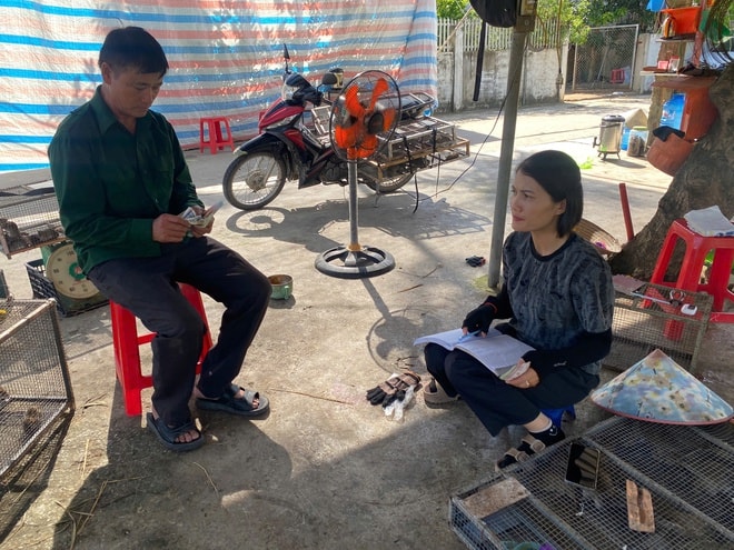 Cả xã cùng săn chuột đồng, kiếm tiền triệu mỗi đêm- Ảnh 11. Cả xã cùng săn chuột đồng, kiếm tiền triệu mỗi đêm- Ảnh 11.