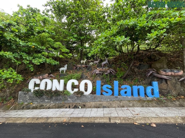 Nuôi cua đá trên đảo Cồn Cỏ: Hướng đi mới cho sinh kế và bảo tồn- Ảnh 1. Nuôi cua đá trên đảo Cồn Cỏ: Hướng đi mới cho sinh kế và bảo tồn- Ảnh 1.