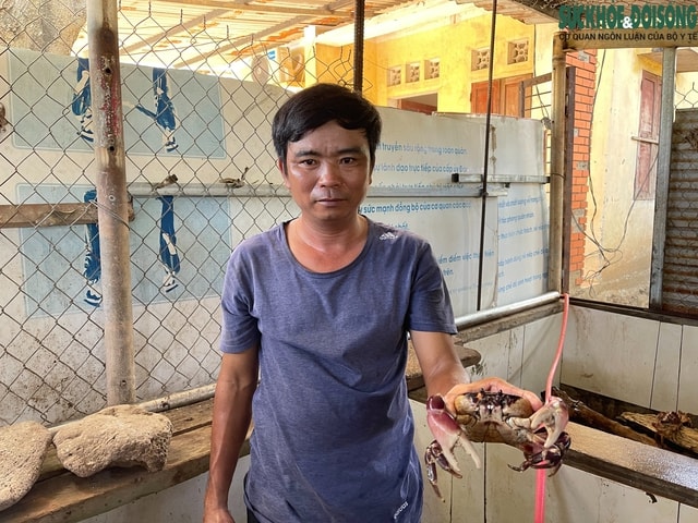 Nuôi cua đá trên đảo Cồn Cỏ: Hướng đi mới cho sinh kế và bảo tồn- Ảnh 4. Nuôi cua đá trên đảo Cồn Cỏ: Hướng đi mới cho sinh kế và bảo tồn- Ảnh 4.