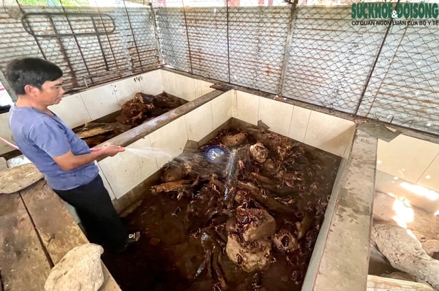 Nuôi cua đá trên đảo Cồn Cỏ: Hướng đi mới cho sinh kế và bảo tồn- Ảnh 6. Nuôi cua đá trên đảo Cồn Cỏ: Hướng đi mới cho sinh kế và bảo tồn- Ảnh 6.