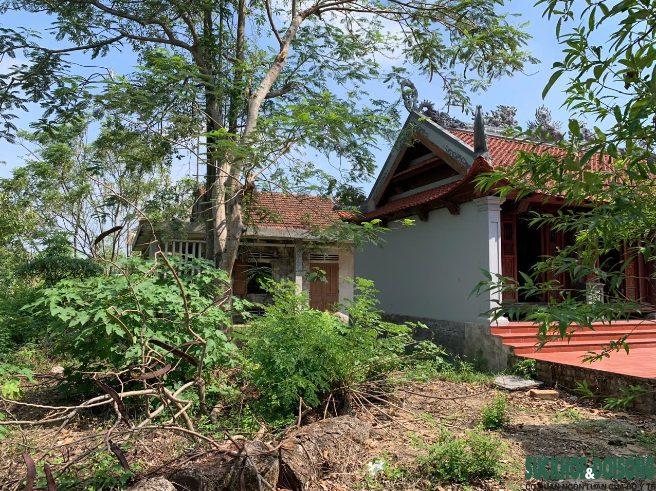 Dang dở dự án phục dựng Đền Vua Lê ở Nghệ An- Ảnh 4. Dang dở dự án phục dựng Đền Vua Lê ở Nghệ An- Ảnh 4.