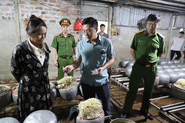 Dùng chất cấm để sản xuất giá đỗ- Ảnh 2.