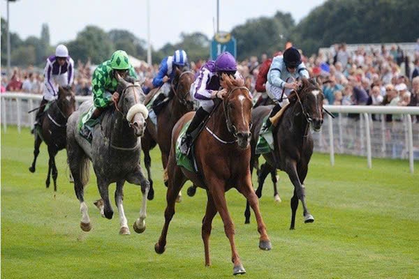 Đề xuất mở rộng việc đặt cược đua ngựa, đua chó và bóng đá quốc tế- Ảnh 2.