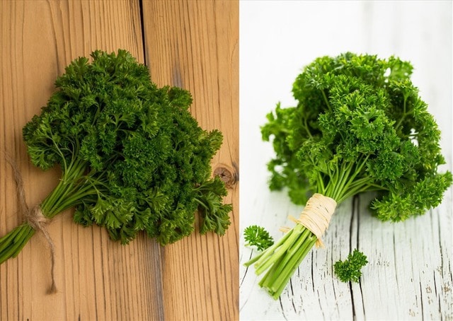 4 gia vị rẻ tiền trong nhà bếp hỗ trợ phòng ngừa ung thư- Ảnh 3.