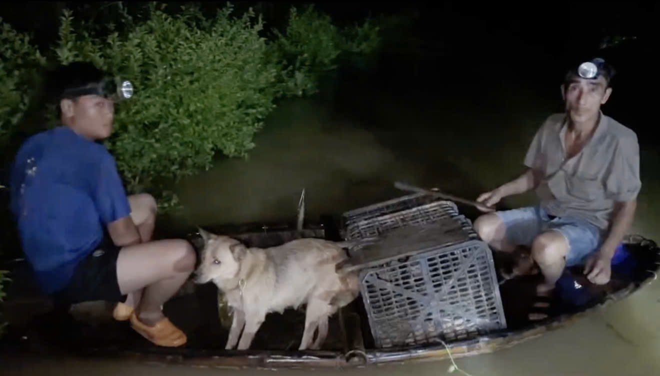 Nhà ngập tới nóc, người dân Nghệ An xuyên đêm chạy lũ- Ảnh 3.