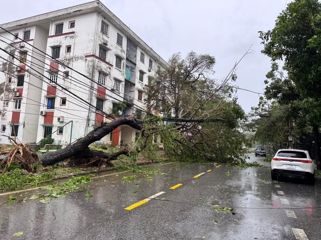 Vì sao liên tiếp xuất hiện lốc xoáy ở nhiều tỉnh thành?- Ảnh 2.