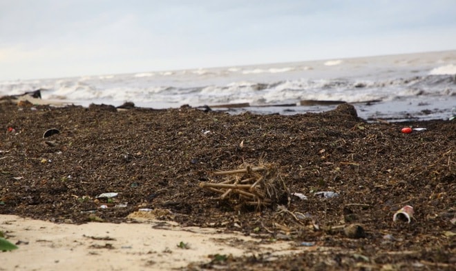 Bãi biển Nhật Lệ ngập rác sau mưa bão- Ảnh 1.