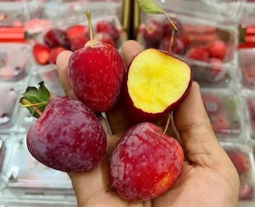 Vì sao táo cherry gây 'sốt' chợ Việt?- Ảnh 1. Vì sao táo cherry gây 'sốt' chợ Việt?- Ảnh 1.