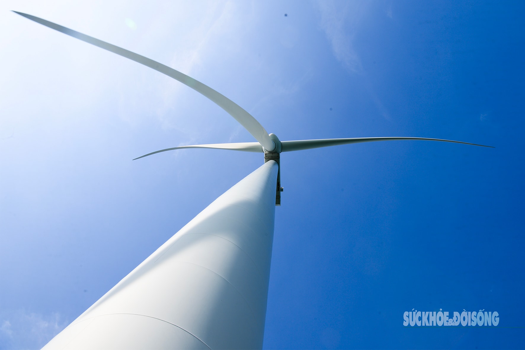 ‘Vũ điệu của gió’ trên biển Đông- Ảnh 2.