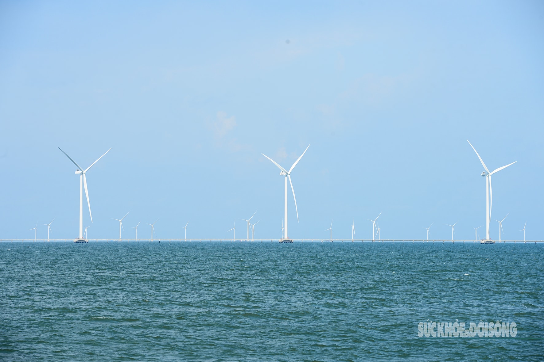 ‘Vũ điệu của gió’ trên biển Đông- Ảnh 6.