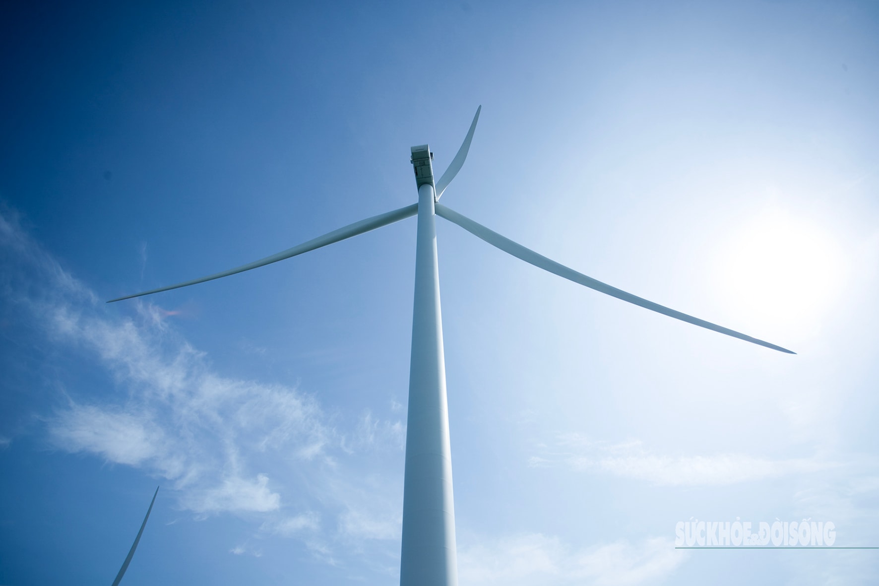 ‘Vũ điệu của gió’ trên biển Đông- Ảnh 9.