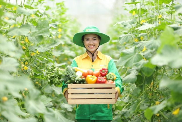 Hành trình rau sạch WinEco: Từ nông trường đến bàn ăn Việt- Ảnh 1. Hành trình rau sạch WinEco: Từ nông trường đến bàn ăn Việt- Ảnh 1.