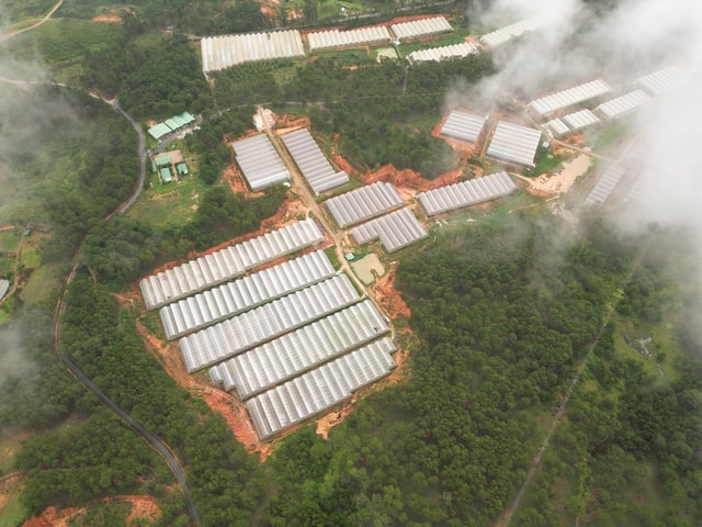 Hành trình rau sạch WinEco: Từ nông trường đến bàn ăn Việt- Ảnh 2. Hành trình rau sạch WinEco: Từ nông trường đến bàn ăn Việt- Ảnh 2.