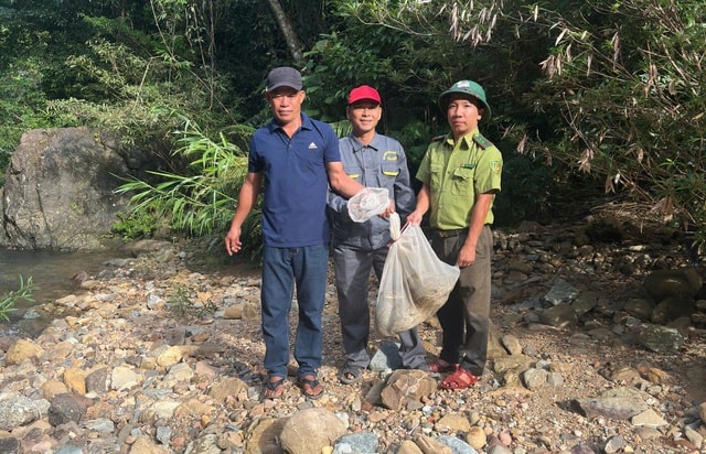 Trăn gấm quý hiếm vào vườn bắt gà, người dân giao nộp kiểm lâm thả về rừng- Ảnh 1.