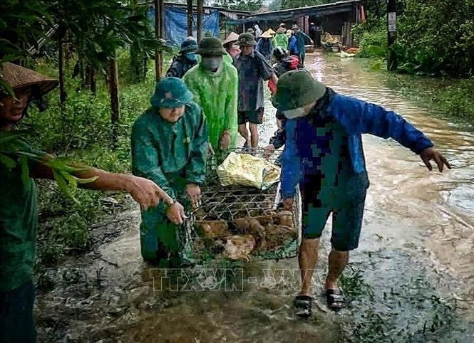 Bắc Ninh: Huy động hàng trăm cán bộ, chiến sỹ hỗ trợ nhân dân trong mưa lũ- Ảnh 8. Bắc Ninh: Huy động hàng trăm cán bộ, chiến sỹ hỗ trợ nhân dân trong mưa lũ- Ảnh 8.