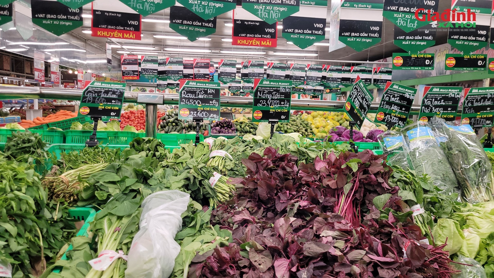 Bão số 11 gây mưa lớn, ngập diện rộng, rau xanh có loại vẫn giữ giá 13.500 đồng/kg- Ảnh 2. Bão số 11 gây mưa lớn, ngập diện rộng, rau xanh có loại vẫn giữ giá 13.500 đồng/kg- Ảnh 2.