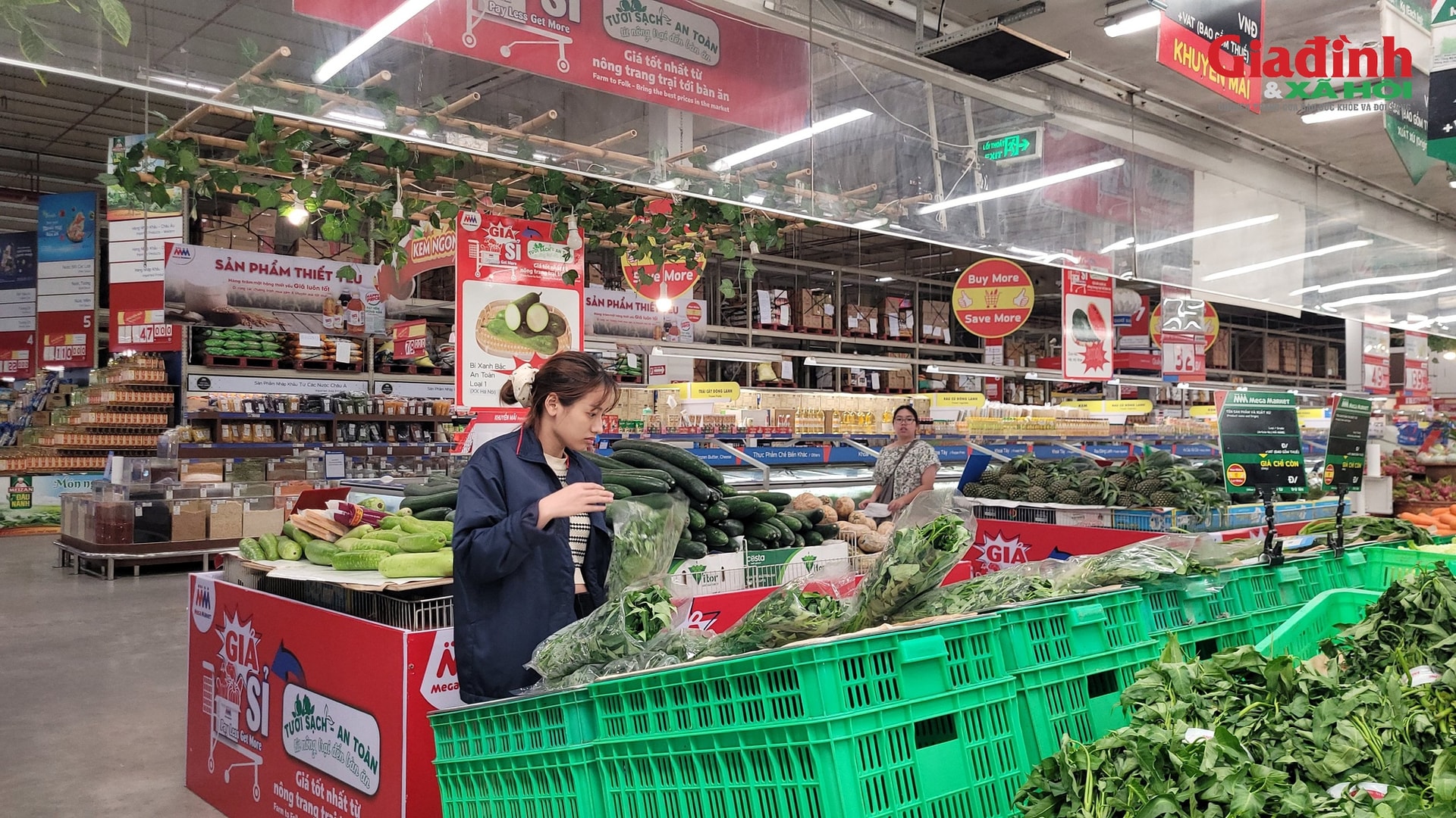 Bão số 11 gây mưa lớn, ngập diện rộng, rau xanh có loại vẫn giữ giá 13.500 đồng/kg- Ảnh 1. Bão số 11 gây mưa lớn, ngập diện rộng, rau xanh có loại vẫn giữ giá 13.500 đồng/kg- Ảnh 1.