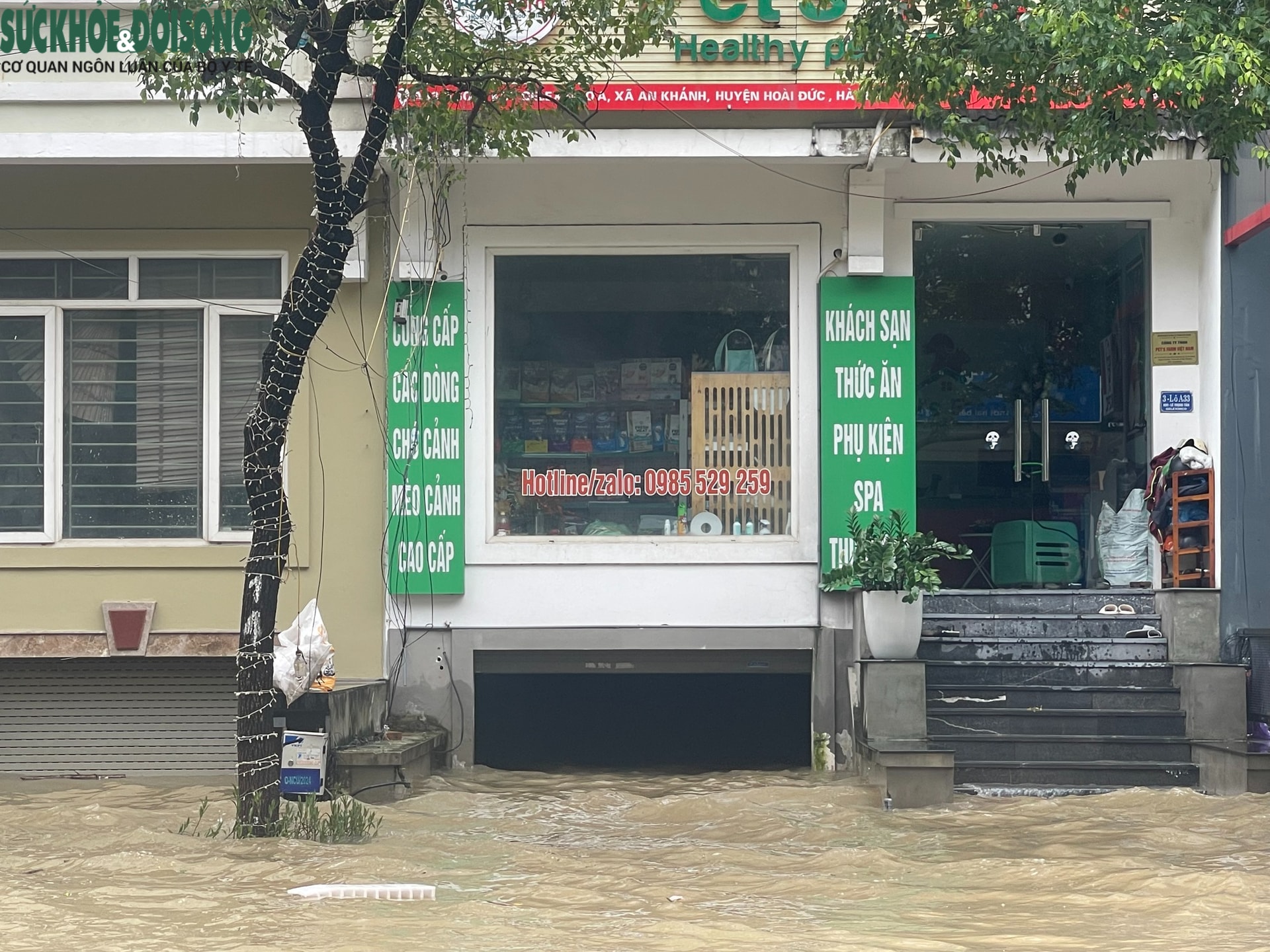 Hà Nội: 'Ốc đảo An Khánh' lại chìm trong biển nước sau mưa- Ảnh 5. Hà Nội: 'Ốc đảo An Khánh' lại chìm trong biển nước sau mưa- Ảnh 5.