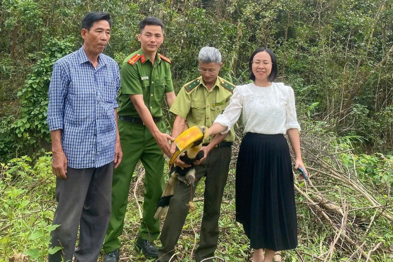 Chim hồng hoàng quý hiếm xuất hiện ở khu dân cư- Ảnh 1. Chim hồng hoàng quý hiếm xuất hiện ở khu dân cư- Ảnh 1.