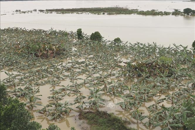 Hà Nội kích hoạt ứng phó khẩn cấp, tập trung bảo vệ vùng xung yếu- Ảnh 1. Hà Nội kích hoạt ứng phó khẩn cấp, tập trung bảo vệ vùng xung yếu- Ảnh 1.