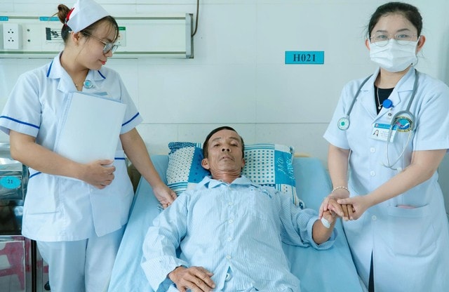 Kiến ba khoang 'tấn công' khiến người đàn ông bị sốc phản vệ - Ảnh 1. Kiến ba khoang 'tấn công' khiến người đàn ông bị sốc phản vệ - Ảnh 1.