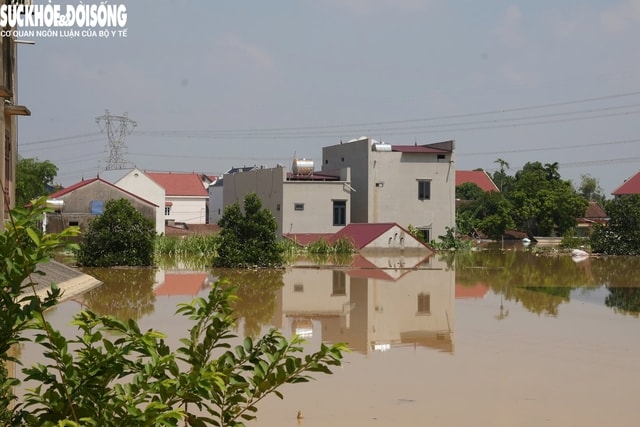 Cận cảnh hàng trăm hộ dân xã ven Hà Nội bị ngập sâu- Ảnh 3. Cận cảnh hàng trăm hộ dân xã ven Hà Nội bị ngập sâu- Ảnh 3.