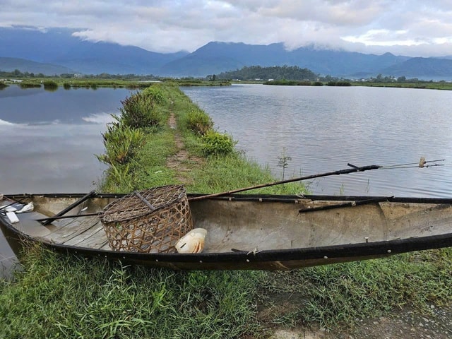 Mật phục, bắt quả tang 2 người đàn ông bẫy bắt chim hoang dã ở Huế- Ảnh 2. Mật phục, bắt quả tang 2 người đàn ông bẫy bắt chim hoang dã ở Huế- Ảnh 2.