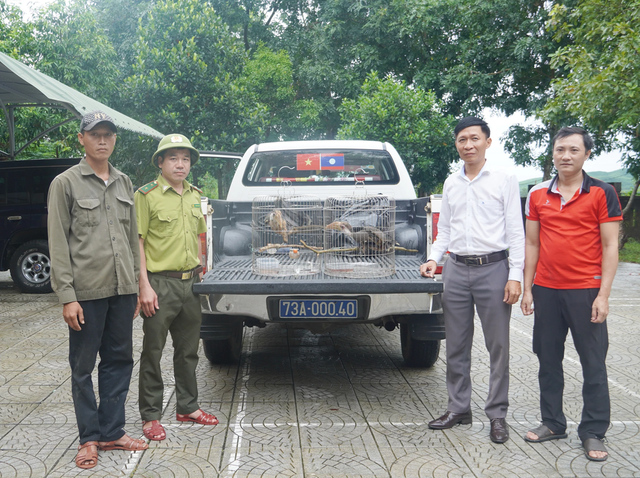 Loài chim trong Sách đỏ bay vào nhà và hành động bất ngờ của người đàn ông trong bản- Ảnh 1. Loài chim trong Sách đỏ bay vào nhà và hành động bất ngờ của người đàn ông trong bản- Ảnh 1.
