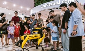 Robot Spot khuấy động không gian trưng bày xe Hyundai