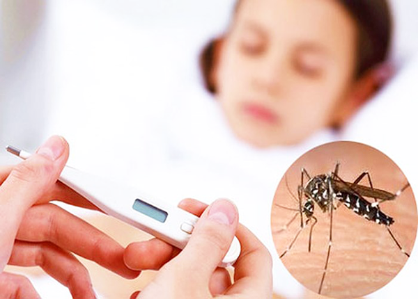 Sở Y tế Lâm Đồng ra văn bản khẩn sau ca tử vong do sốt xuất huyết Dengue- Ảnh 1.