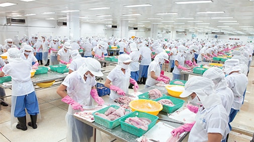 Thủy sản Mekong giải trình chênh lệch lợi nhuận- Ảnh 1. Thủy sản Mekong giải trình chênh lệch lợi nhuận- Ảnh 1.