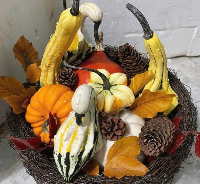 Nhiều người chi tiền triệu săn bí ngô 'độc lạ' về chơi Halloween- Ảnh 3. Nhiều người chi tiền triệu săn bí ngô 'độc lạ' về chơi Halloween- Ảnh 3.
