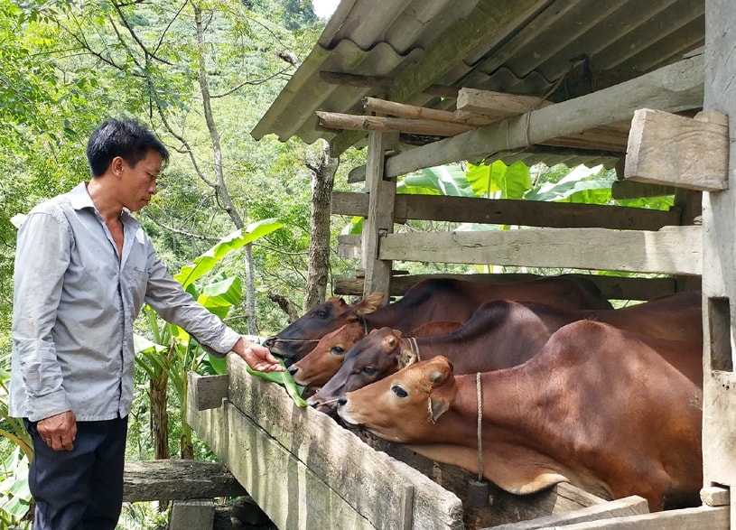 Lào Cai xây dựng nông thôn mới kiểu mẫu từ năm 2025- Ảnh 3. Lào Cai xây dựng nông thôn mới kiểu mẫu từ năm 2025- Ảnh 3.