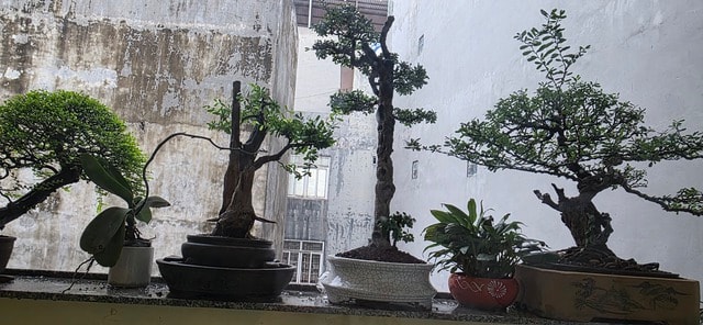 Bầu trời Hà Nội vàng rực kỳ lạ, xuất hiện cầu vồng từ sáng sớm- Ảnh 7. Bầu trời Hà Nội vàng rực kỳ lạ, xuất hiện cầu vồng từ sáng sớm- Ảnh 7.