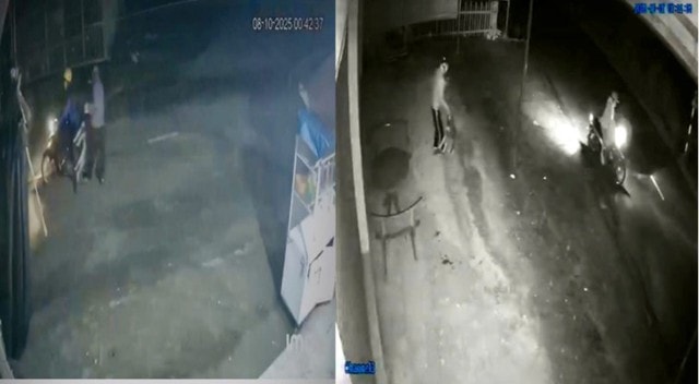 Nhóm trộm chó bị bắt sau cuộc truy đuổi nghẹt thở- Ảnh 2.