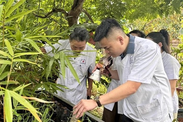Thanh Hóa thiết lập, duy trì 3 đội đáp ứng nhanh phòng, chống dịch sốt xuất huyết Dengue- Ảnh 2. Thanh Hóa thiết lập, duy trì 3 đội đáp ứng nhanh phòng, chống dịch sốt xuất huyết Dengue- Ảnh 2.