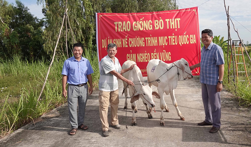 An Giang: Tích cực triển khai Chương trình quốc gia giảm nghèo bền vững- Ảnh 1. A group of men standing next to a group of cows AI-generated content may be incorrect.