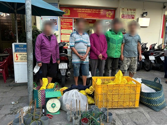 Bắt 15 đối tượng trong đường dây trộm cắp, mua bán chó mèo không rõ nguồn gốc tại TPHCM- Ảnh 1.