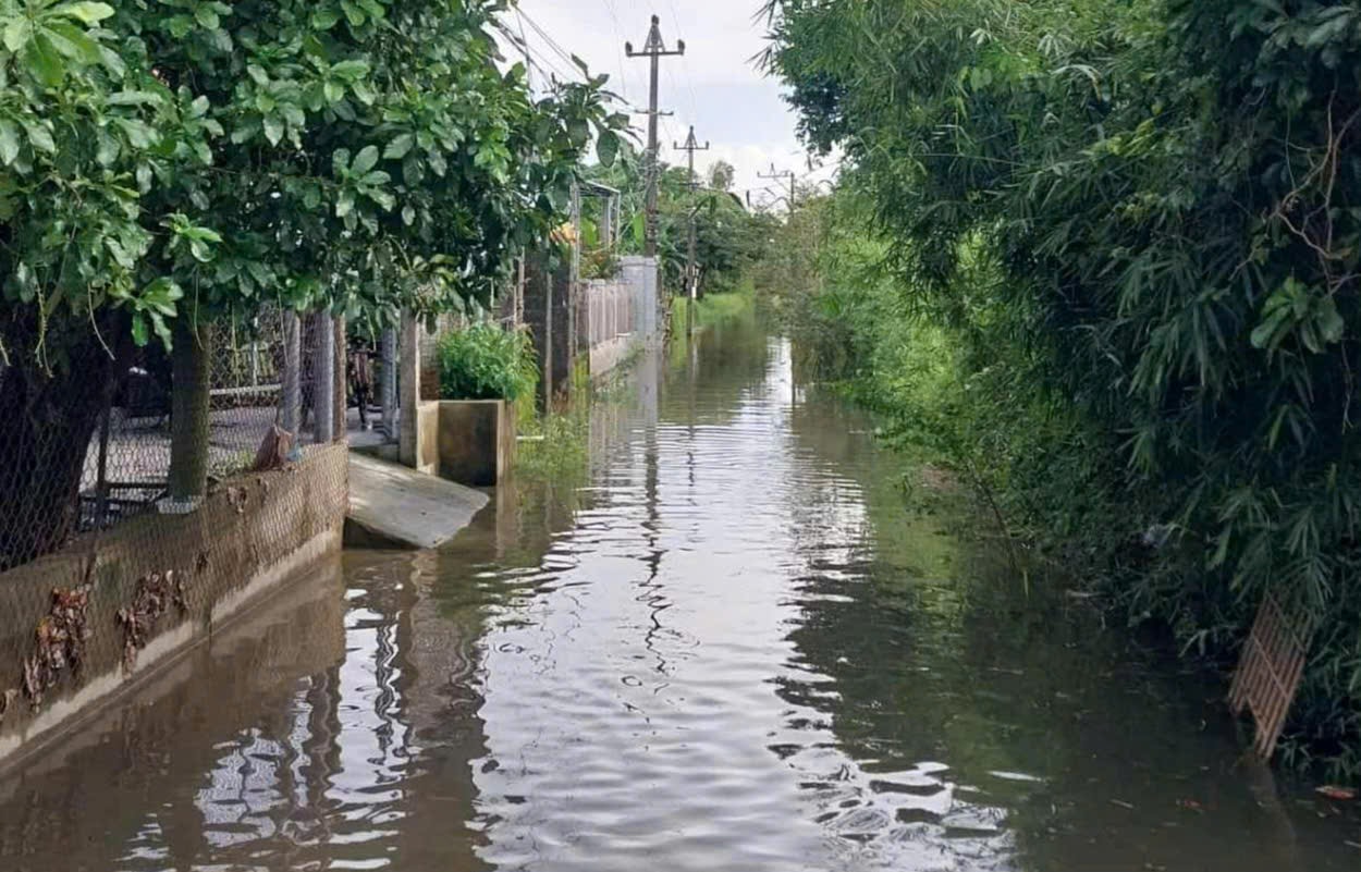 Ngập lụt bủa vây nhiều tuyến đường vùng thấp trũng ở Huế- Ảnh 6. Ngập lụt bủa vây nhiều tuyến đường vùng thấp trũng ở Huế- Ảnh 6.